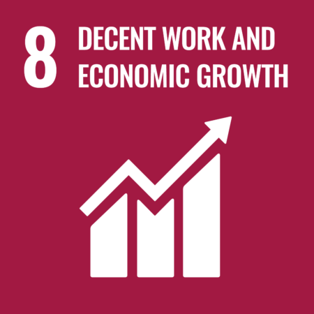 Sustainable-development-goal-8